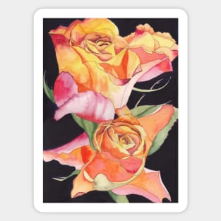 Pink and Yellow Roses watercolour painting with a dark background. Sticker